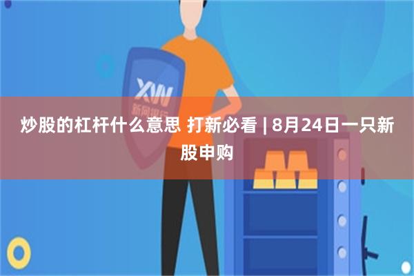 炒股的杠杆什么意思 打新必看 | 8月24日一只新股申购