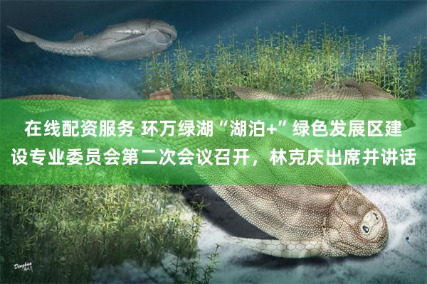 在线配资服务 环万绿湖“湖泊+”绿色发展区建设专业委员会第二次会议召开,林克庆出席并讲话
