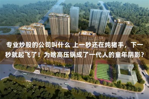 专业炒股的公司叫什么 上一秒还在炖猪手，下一秒就起飞了！为啥高压锅成了一代人的童年阴影？