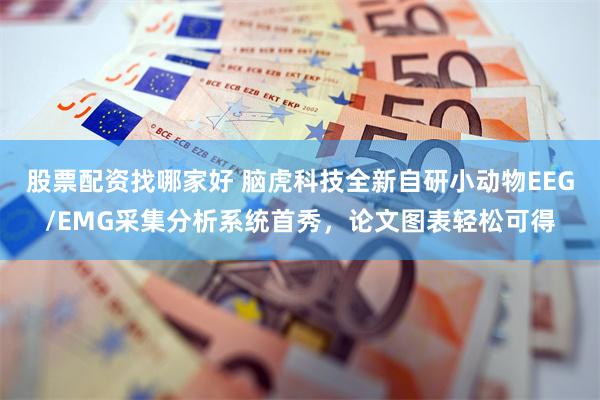 股票配资找哪家好 脑虎科技全新自研小动物EEG/EMG采集分析系统首秀，论文图表轻松可得