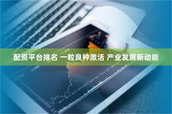 配资平台排名 一粒良种激活 产业发展新动能