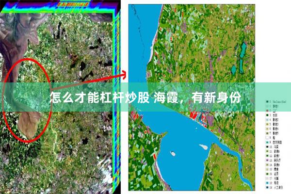 怎么才能杠杆炒股 海霞，有新身份