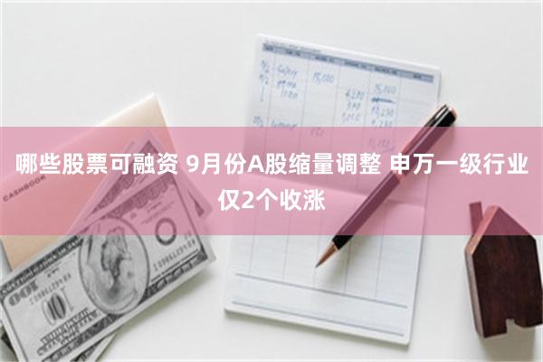 哪些股票可融资 9月份A股缩量调整 申万一级行业仅2个收涨