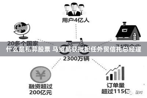 什么是私募股票 马绍晶获批担任外贸信托总经理