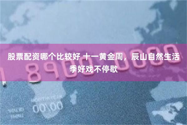 股票配资哪个比较好 十一黄金周，辰山自然生活季好戏不停歇