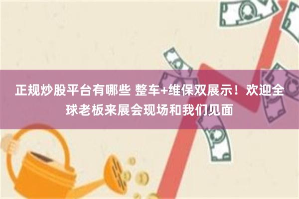 正规炒股平台有哪些 整车+维保双展示!欢迎全球老板来展会现场和我们见面