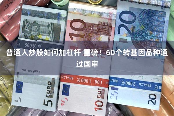 普通人炒股如何加杠杆 重磅！60个转基因品种通过国审